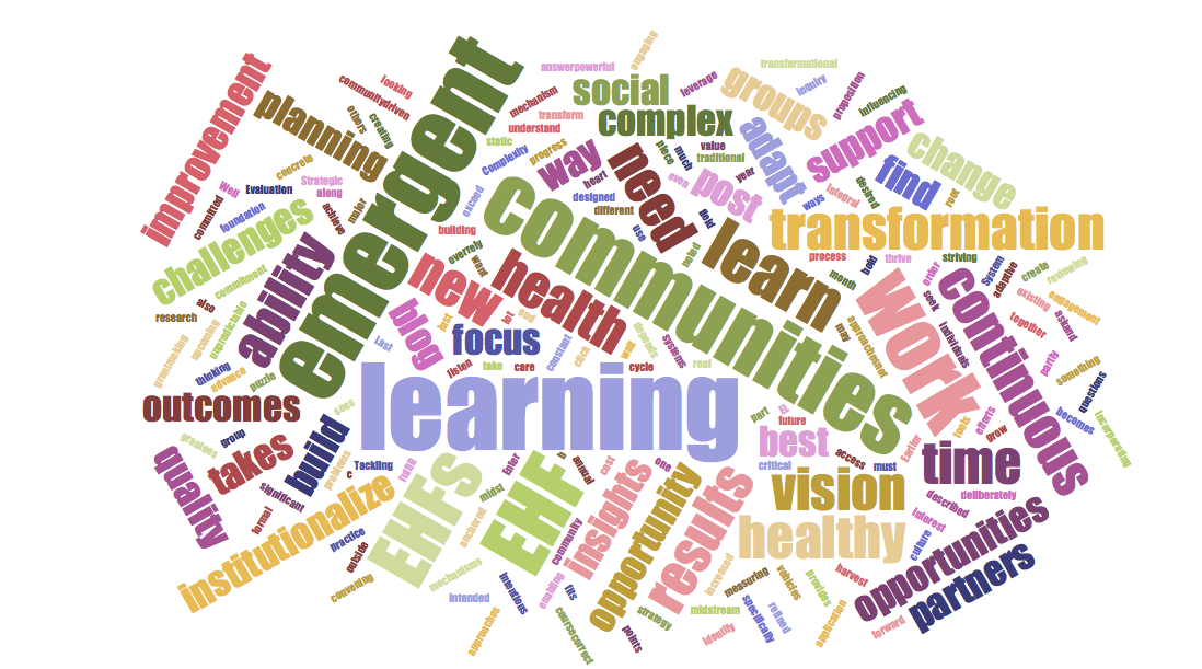 Emergent Learning word cloud.png