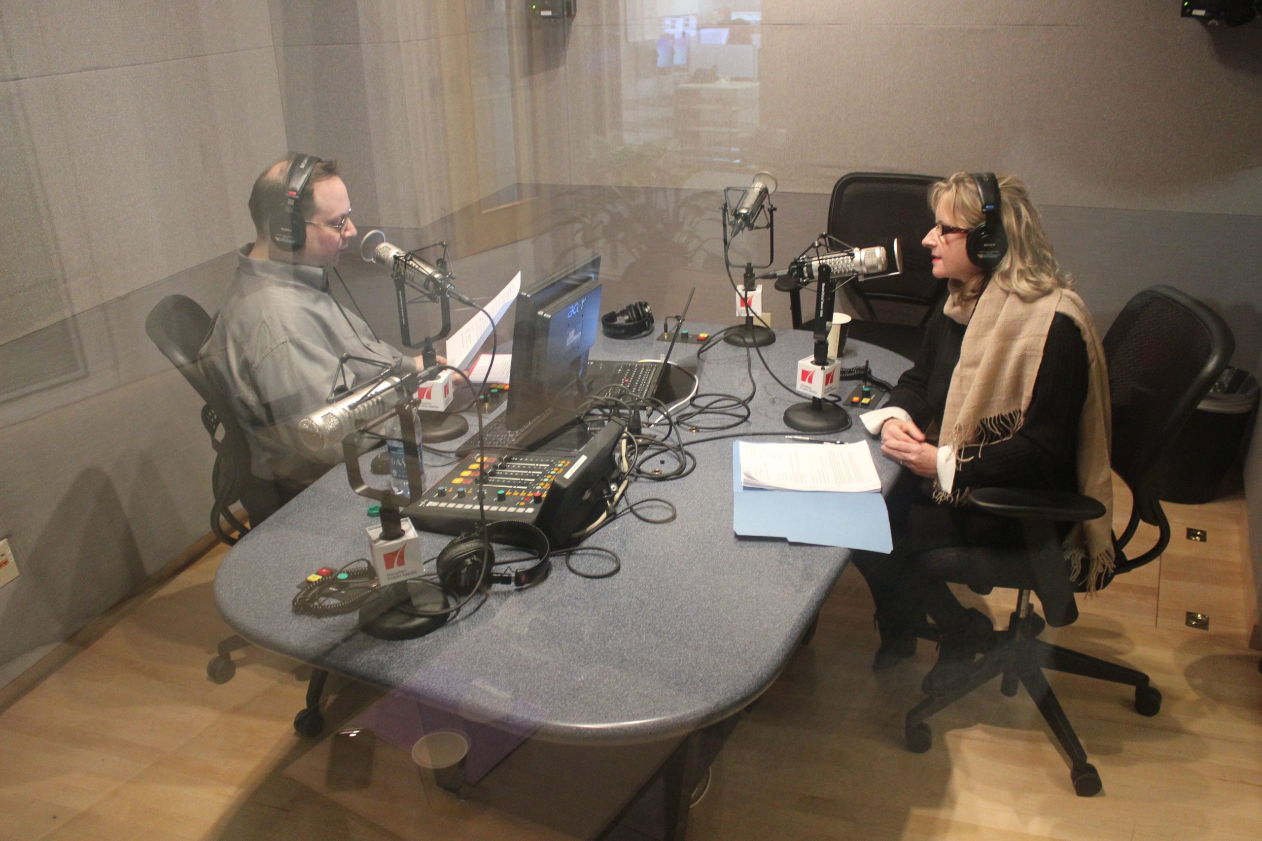 Gail on Houston Matters.jpg