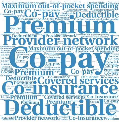 Health insurance terms blog word art.png