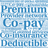 Insurance-terms-word-art-thumb.gif