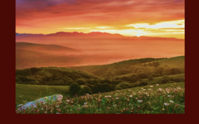 Bright Spots - Case Studies in Innovative Rural Healthcare